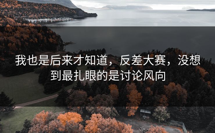 我也是后来才知道，反差大赛，没想到最扎眼的是讨论风向