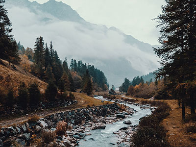 蘑菇视频别只看表面，下载入口到底怎么分辨？难怪评论区一直吵个不停，先看完再说