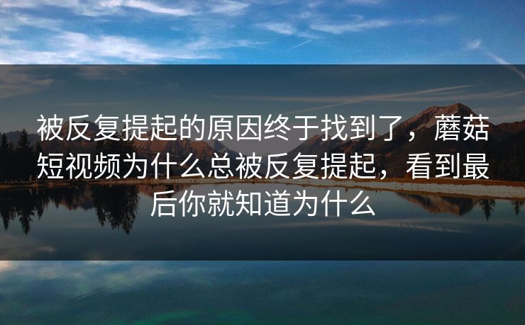 被反复提起的原因终于找到了，蘑菇短视频为什么总被反复提起，看到最后你就知道为什么