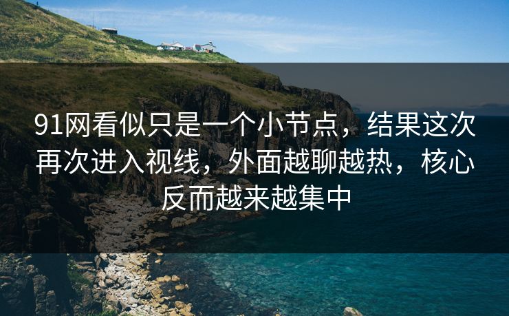 91网看似只是一个小节点，结果这次再次进入视线，外面越聊越热，核心反而越来越集中