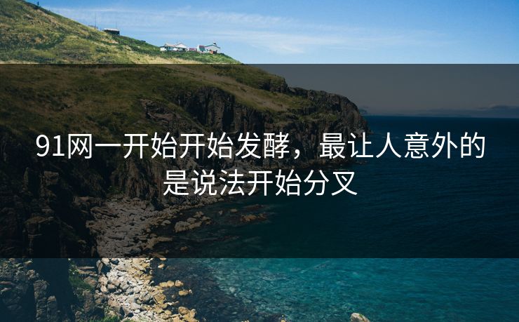 91网一开始开始发酵，最让人意外的是说法开始分叉