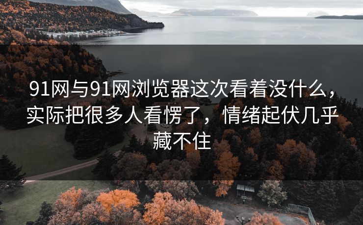 91网与91网浏览器这次看着没什么，实际把很多人看愣了，情绪起伏几乎藏不住