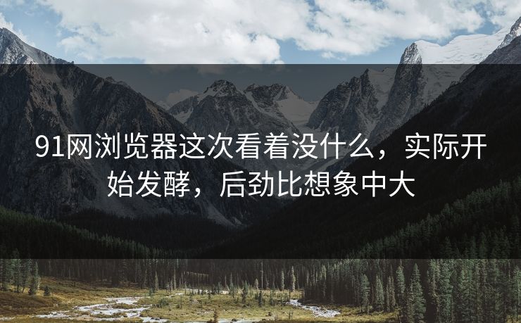 91网浏览器这次看着没什么，实际开始发酵，后劲比想象中大